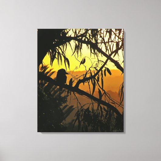 Australische Sunset Kookaburra Silhouette Wrapped  Leinwanddruck (Vorderseite)
