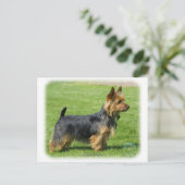 Australische Terrier 9R044D-62 Postkarte (Stehend Vorderseite)
