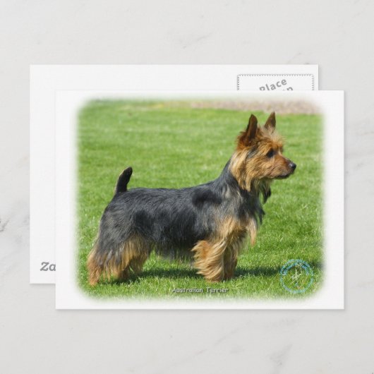 Australische Terrier 9R044D-62 Postkarte (Vorne/Hinten)