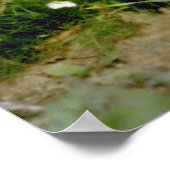 Australische Terrier-Blume Poster (Ecke)