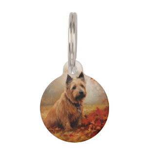 Australische Terrier im Herbst Leaves Fall Inspiri Haustiermarke