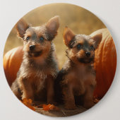 Australische Terrier Welpe Autumn Delight Pumpkin Button (Vorderseite)