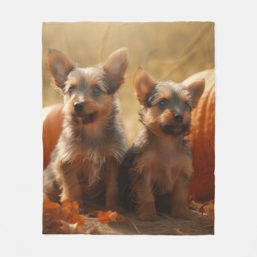 Australische Terrier Welpe Autumn Delight Pumpkin Fleecedecke (Vorderseite)