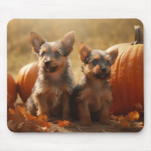 Australische Terrier Welpe Autumn Delight Pumpkin Mousepad (Vorne)