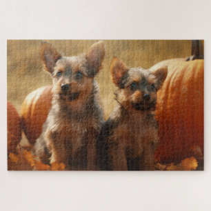 Australische Terrier Welpe Autumn Delight Pumpkin Puzzle