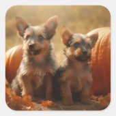 Australische Terrier Welpe Autumn Delight Pumpkin Quadratischer Aufkleber (Vorderseite)