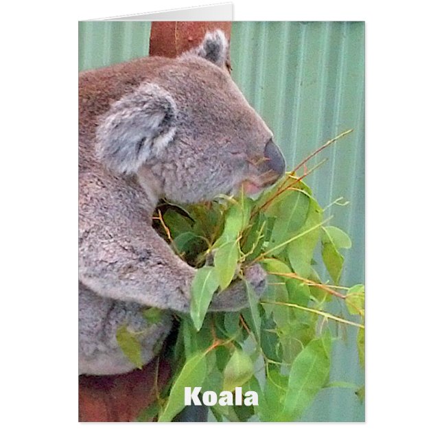 Australische Tier-Karte (Vorne)