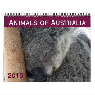 australische Tiere 2016 Kalender