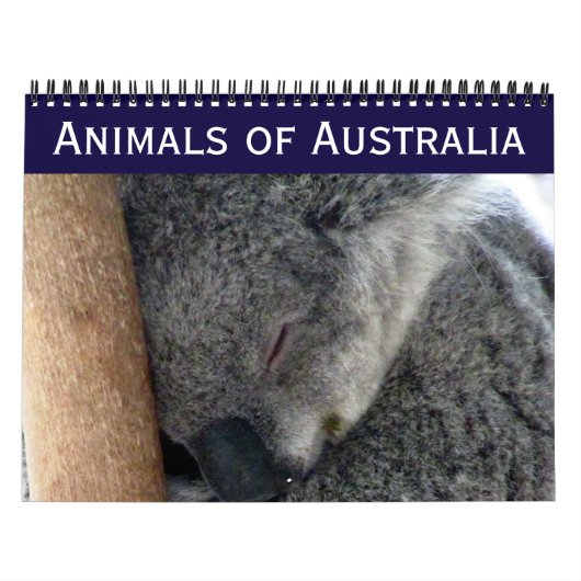 Australische Tiere 2025 Kalender (Titelbild)