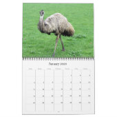 Australische Tiere 2025 Kalender (Jan 2026)