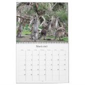Australische Tiere 2025 Kalender (Mär 2027)
