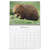 Australische Tiere 2025 Kalender (Feb 2027)
