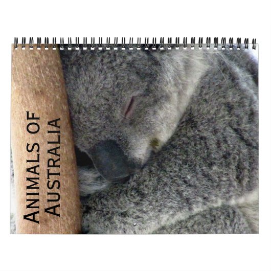 Australische Tiere 2025 Kalender (Titelbild)