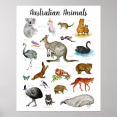 Australische Tiere | Bildung Lernunterricht Poster (Vorne)