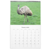 australische Tiere Kalender (Jan 2026)