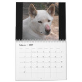 Australische Tiere Kalender (Feb 2027)