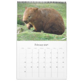 australische Tiere Kalender (Feb 2027)