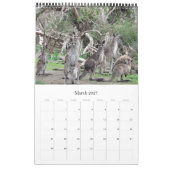 australische Tiere Kalender (Mär 2027)