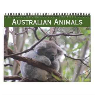 Australische Tiere - Kalender 2025