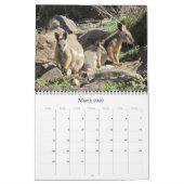 Australische Tiere - Kalender 2025 (Mär 2026)