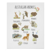 Australische Tiere Poster (Vorderseite)