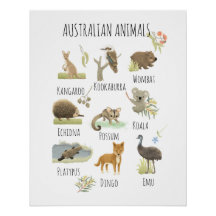 Australische Tiere