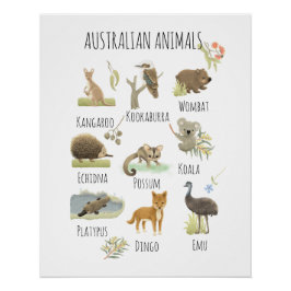Australische Tiere Poster