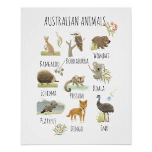 Australische Tiere Poster
