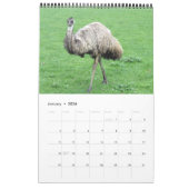 australische Tierphotographie 2014 Kalender (Jan 2026)