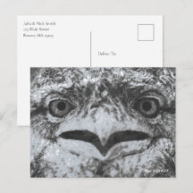 Australische Tierwelt, Natur-Miesepeter, Tier