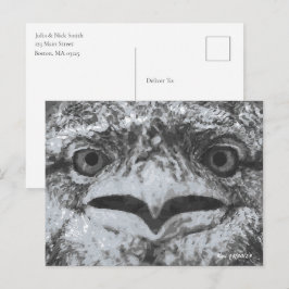 Australische Tierwelt, Natur-Miesepeter, Tier Postkarte