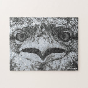 Australische Tierwelt, Natur-Miesepeter, Tier Puzzle