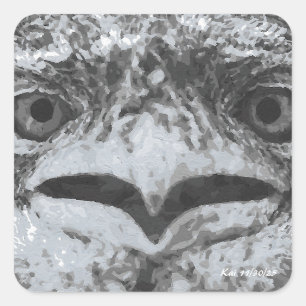 Australische Tierwelt, Natur-Miesepeter, Tier Quadratischer Aufkleber