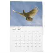 Australische Vögel 2021 Tierkalender Kalender (Jan 2027)