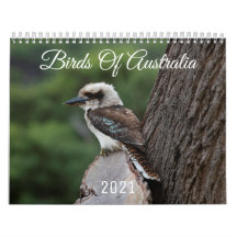 Australische Vögel 2021 Tierkalender