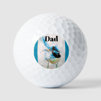 Australische Vögel Blaue Zaunkönigin Zaunkönige Aq Golfball