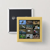 Australische Vögel Button (Vorne & Hinten)