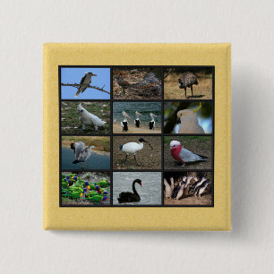 Australische Vögel Button