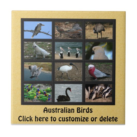 Australische Vögel Fliese (Vorderseite)