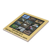 Australische Vögel Fliese (Seite)