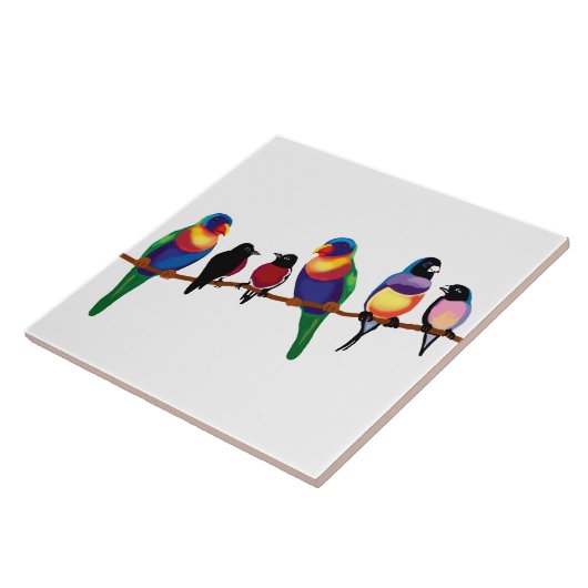 Australische Vögel Fliese (Seite)