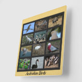 Australische Vögel Quadratische Wanduhr (Winkel)