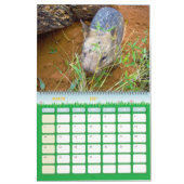 Australische Vögel, Wildtiere, Kalender (Mär 2027)