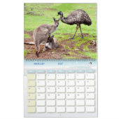 Australische Vögel, Wildtiere, Kalender (Feb 2027)