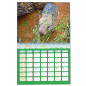 Australische Vögel, Wildtiere, Kalender (Mär 2026)