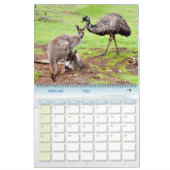 Australische Vögel, Wildtiere, Kalender (Feb 2026)
