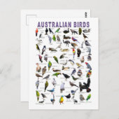 Australische Vogelkarte Postkarte (Vorne/Hinten)