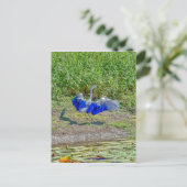 AUSTRALISCHE VOGELSTORK AUSTRALIEN MIT KUNSTWIRKUN POSTKARTE (Stehend Vorderseite)