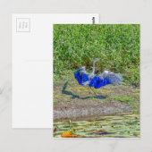 AUSTRALISCHE VOGELSTORK AUSTRALIEN MIT KUNSTWIRKUN POSTKARTE (Vorne/Hinten)