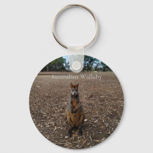 Australische Wallaby isst Sticks, Keyring Schlüsselanhänger